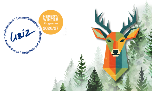 Programm Programm